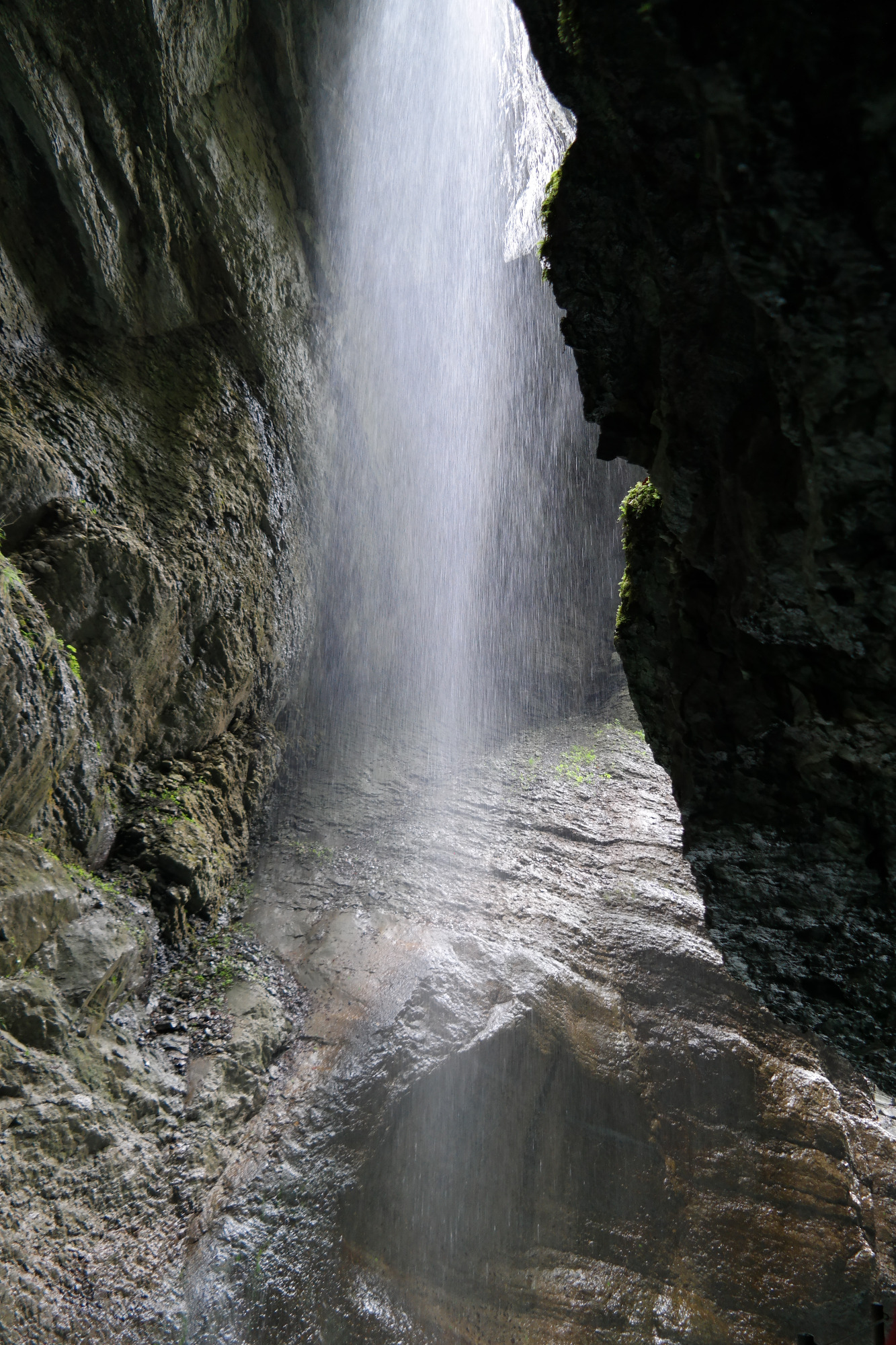 Wasser schenkt Leben